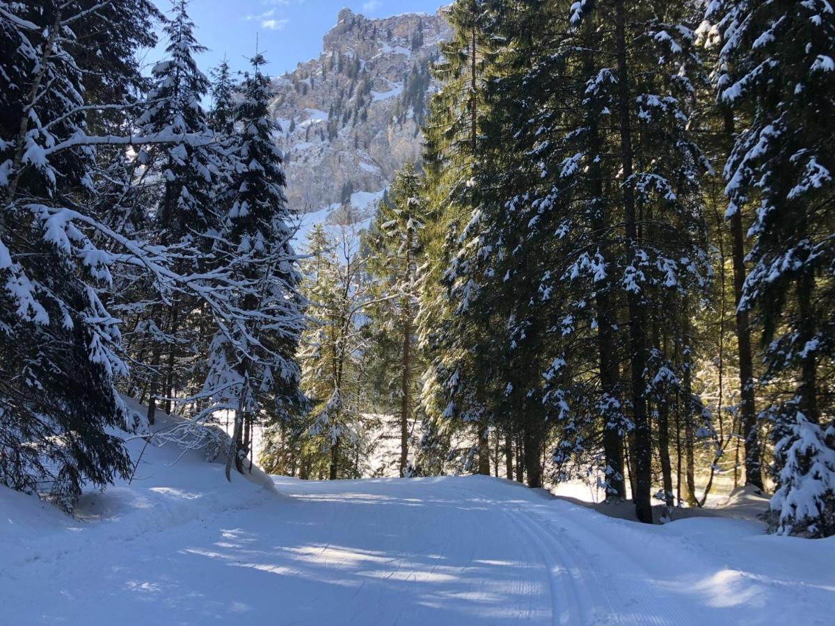 Nice Apartment Private Host Engelberg Zewnętrze zdjęcie